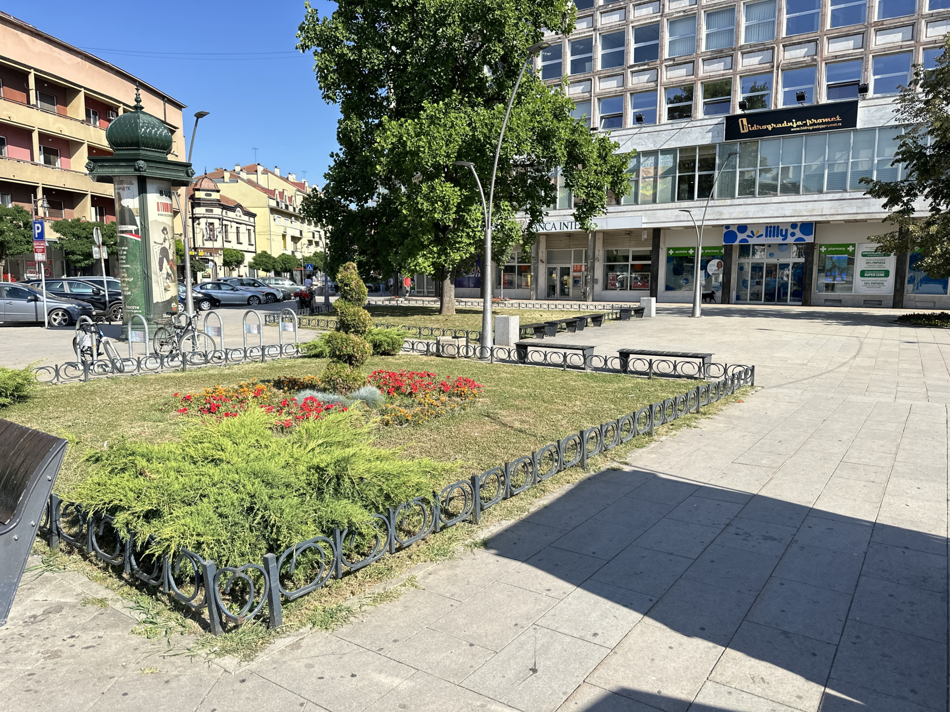 Skoro 300 novih stabala dobija Čačak u ovoj godini, prvo drveće zasađeno u Atenici: Zeleni talas "zaljuljao" grad na Moravi
