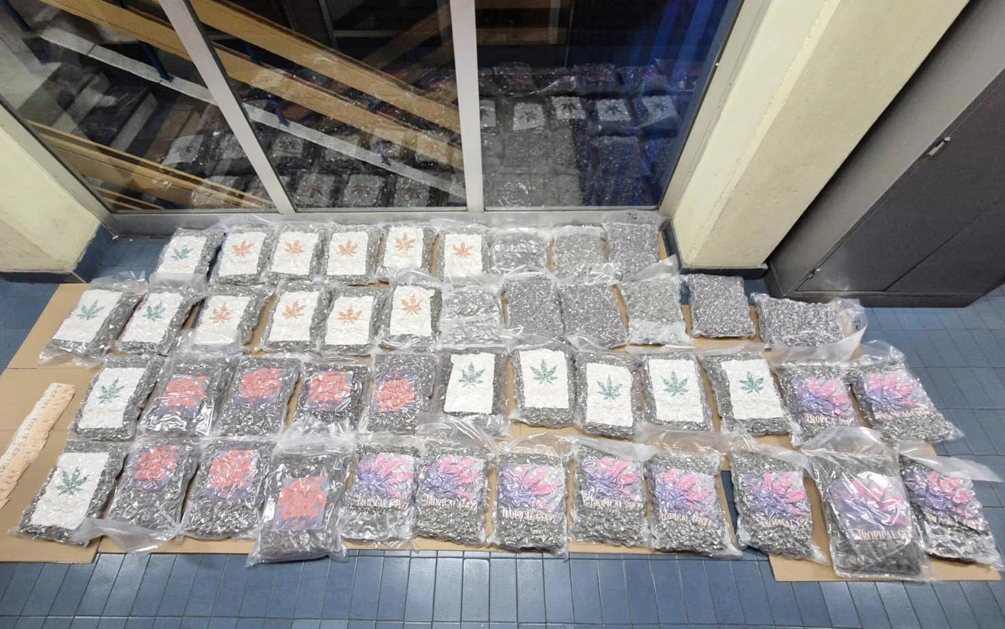 Čačanin uhapšen sa 50 kilograma marihuane: Drogu prevozio kamionom, lisice stavljene u Novom Sadu (FOTO)
