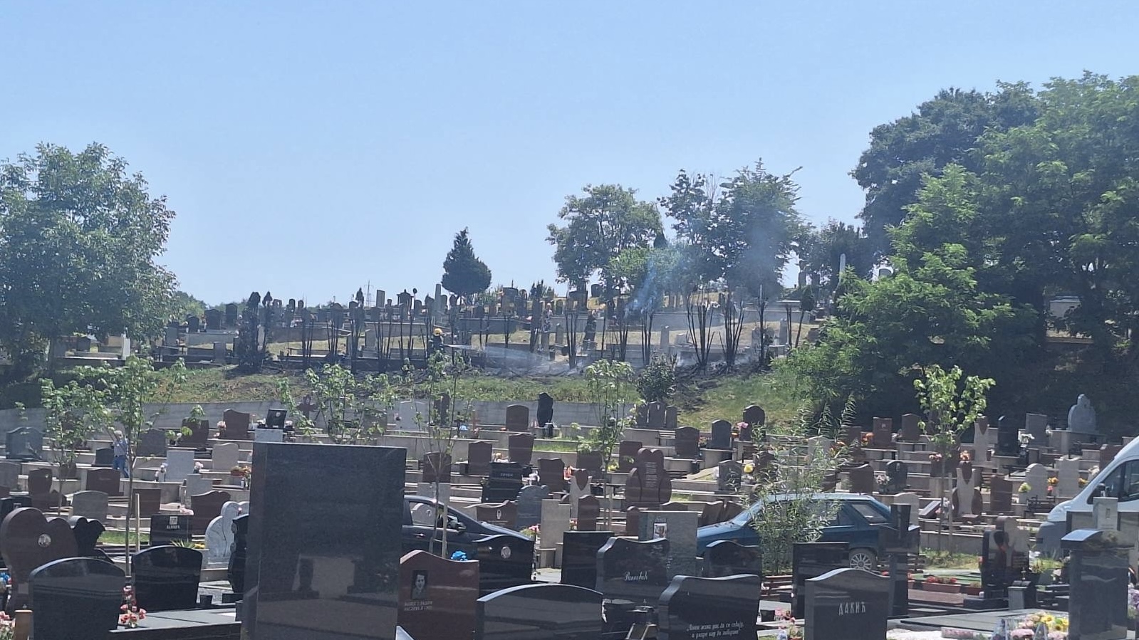 Šok u Ivanjici: Jazavci upadaju na groblje i kopaju podzmene hodnike, prave ogromnu štetu