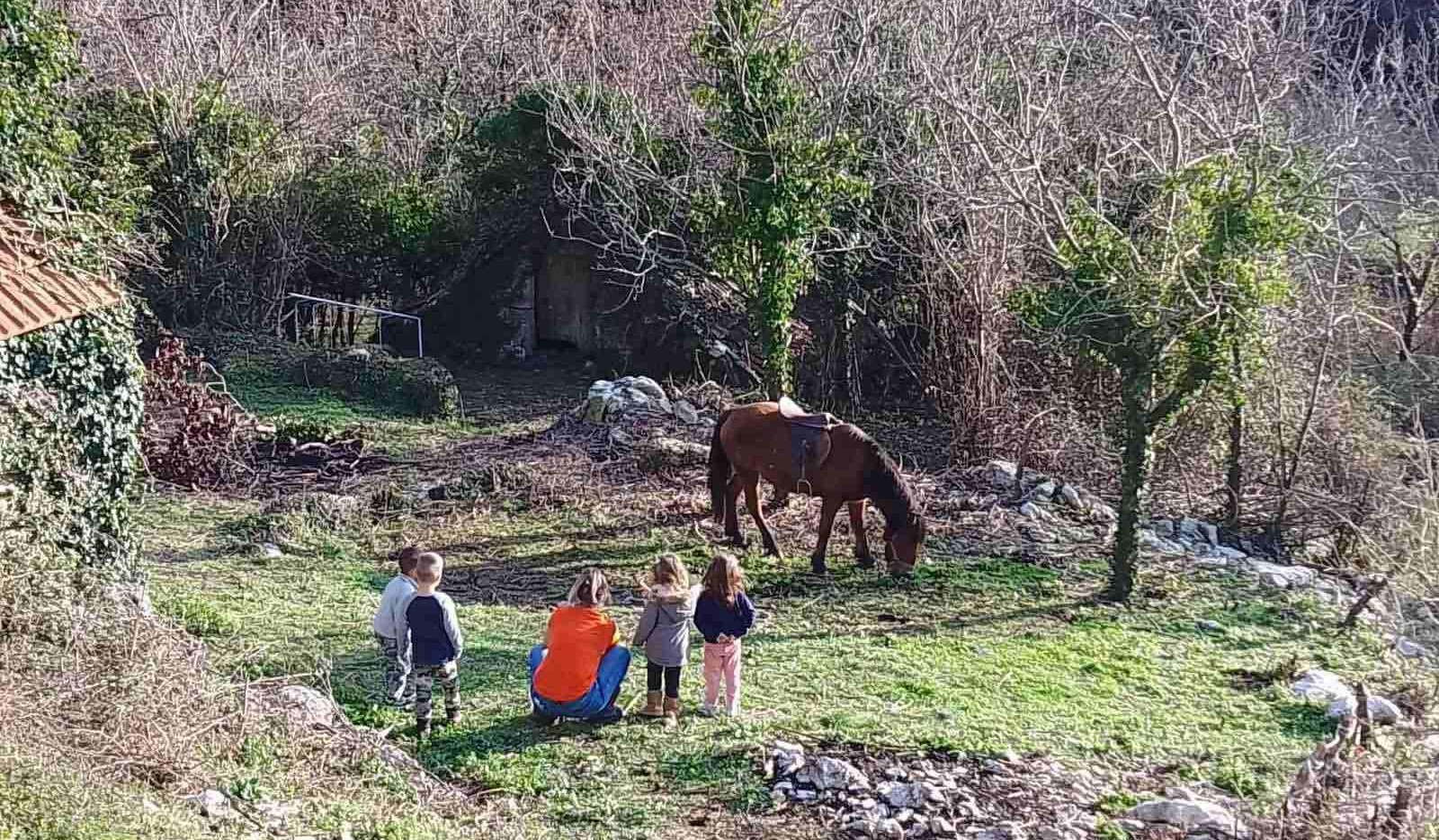 Selo Svrčuge kod Herceg Novog / foto: Privatna arhiva