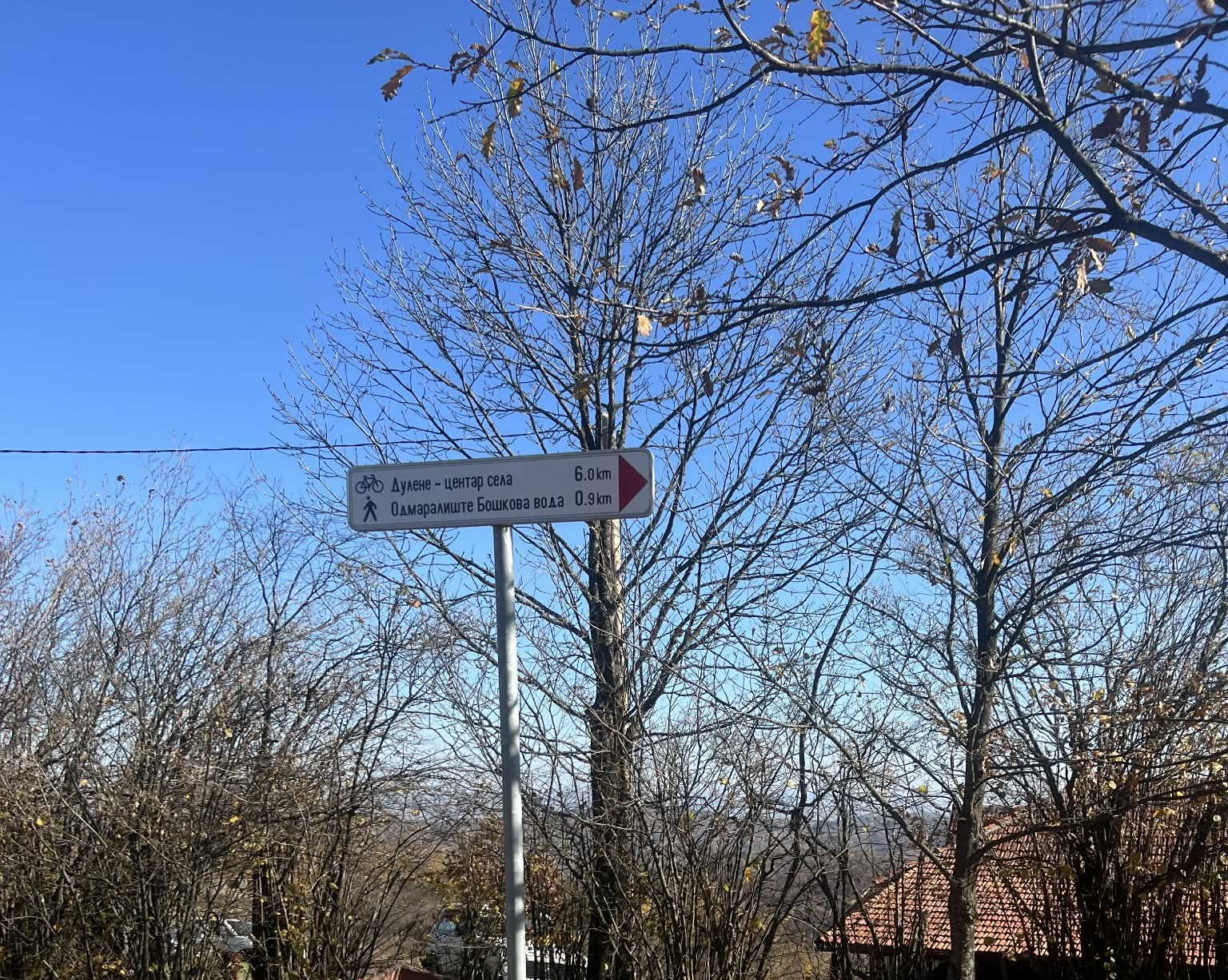 Dulene u Šumadiji jedno od najlepših srpskih sela / foto: RINA