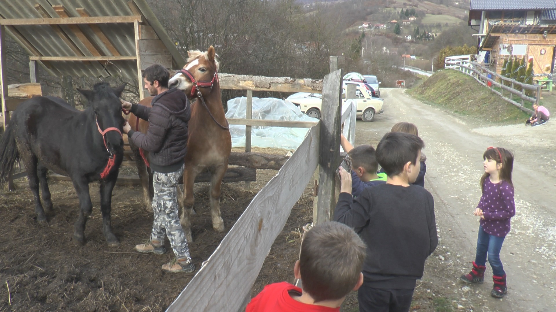 Ovo je srpski ranč u kom je lisica domaća životinja: Želeći da zadrži porodicu na selu Milovan napravio šarenu oazu - sada je godišnje posećuje na stotine gostiju (FOTO)