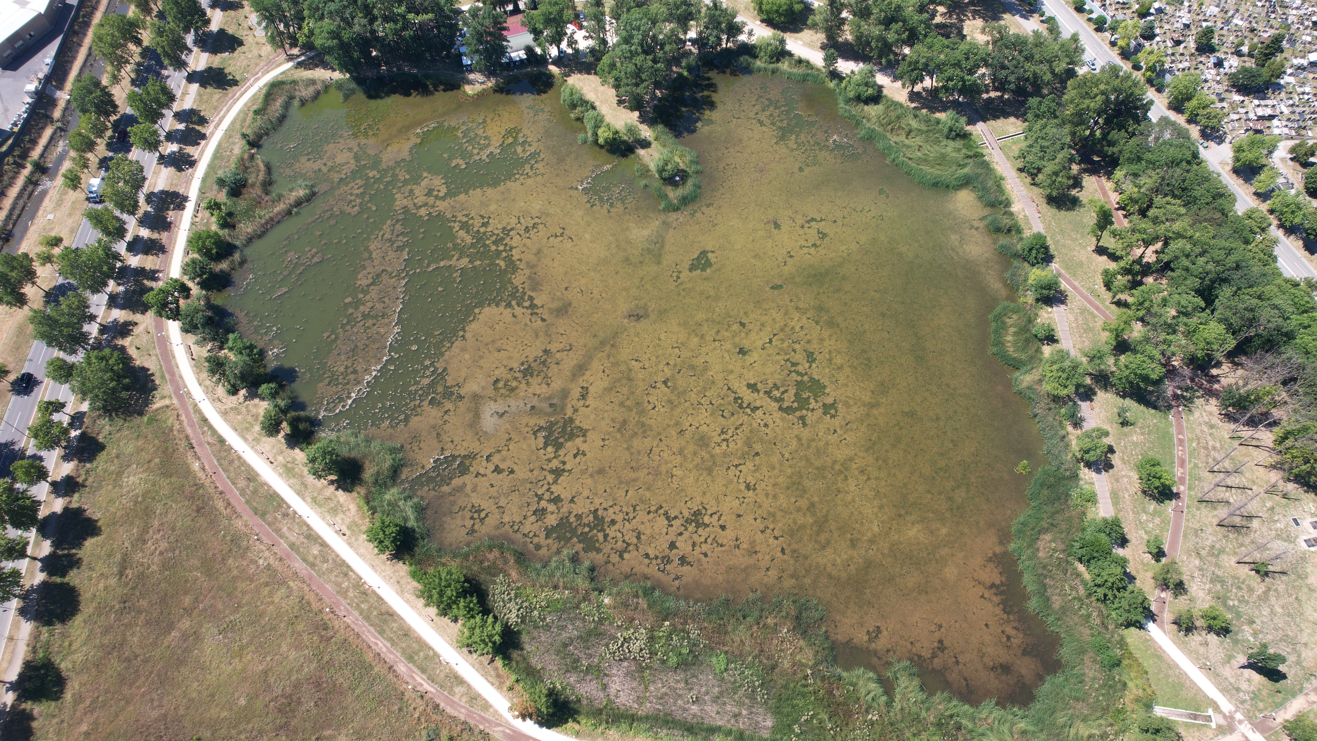 Nesvakidašnje jezero u obliku srca, prirodni fenomen usred Kragujevca: Formiralo se od nekoliko manjih bara i postalo jedinstvena turistička atrakcija u Šumadiji (FOTO)