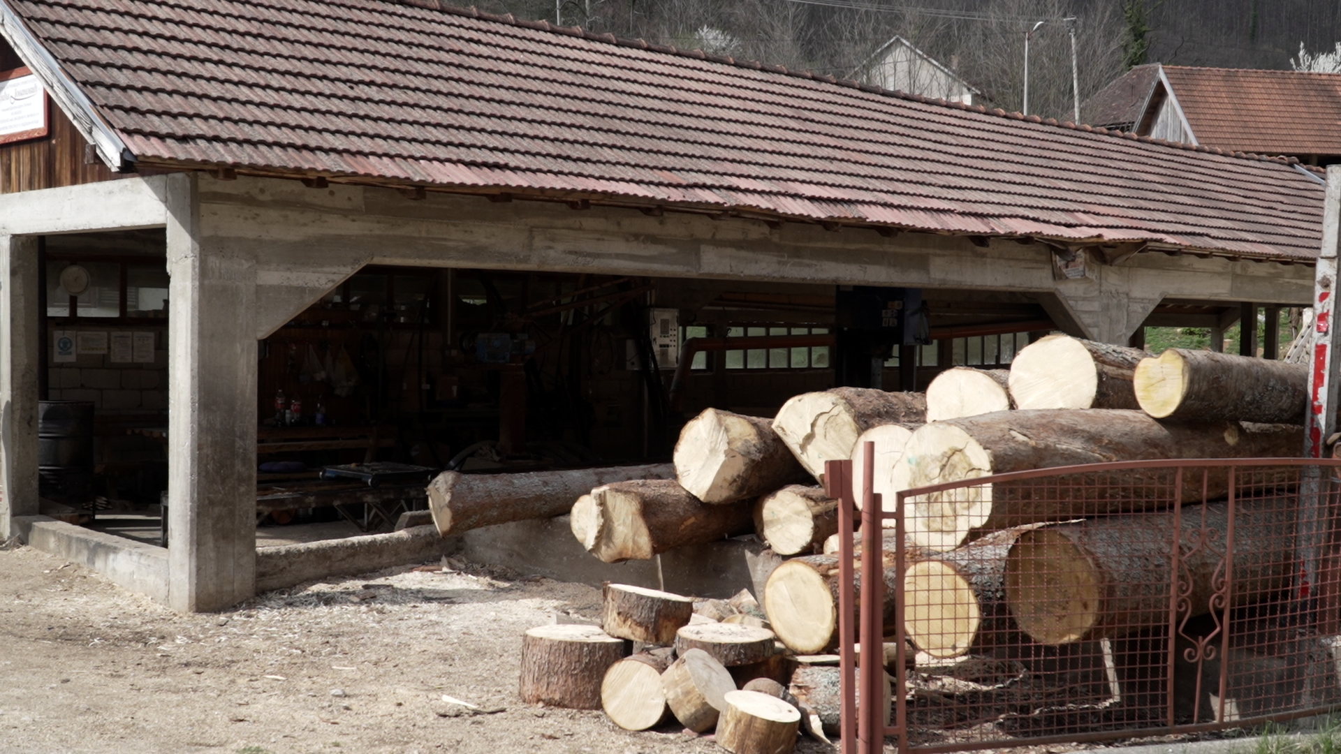 Devetoro Jovanovića živi u jednom od najlepših sela na Tari / foto: RINA