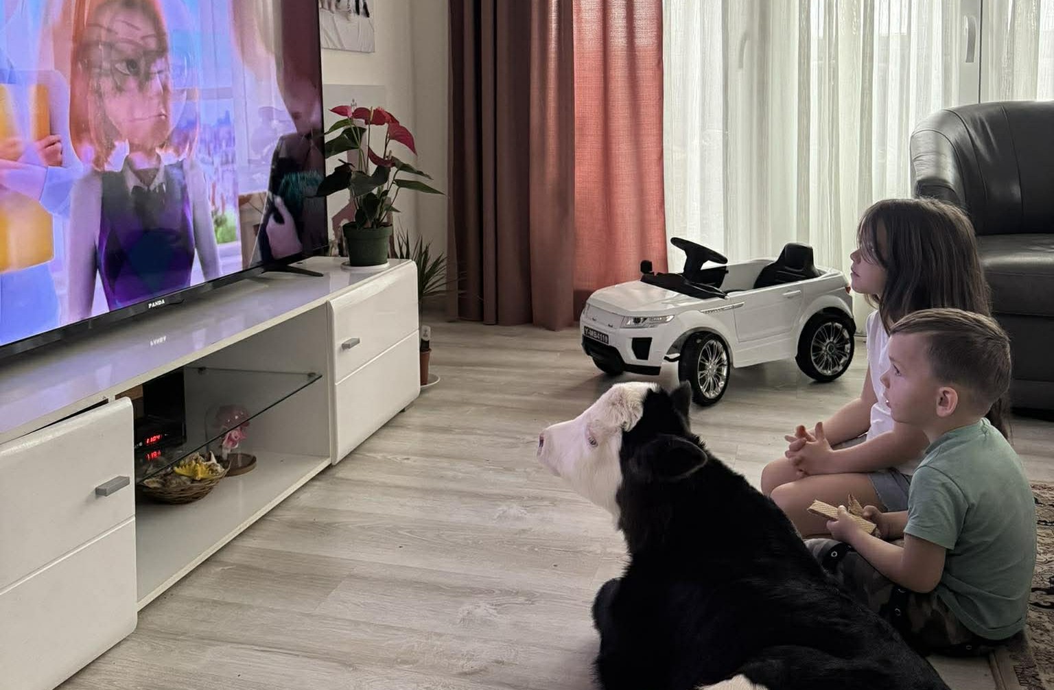 Nestvarno lepa slika iz doma Garovića / foto: Privatna arhiva