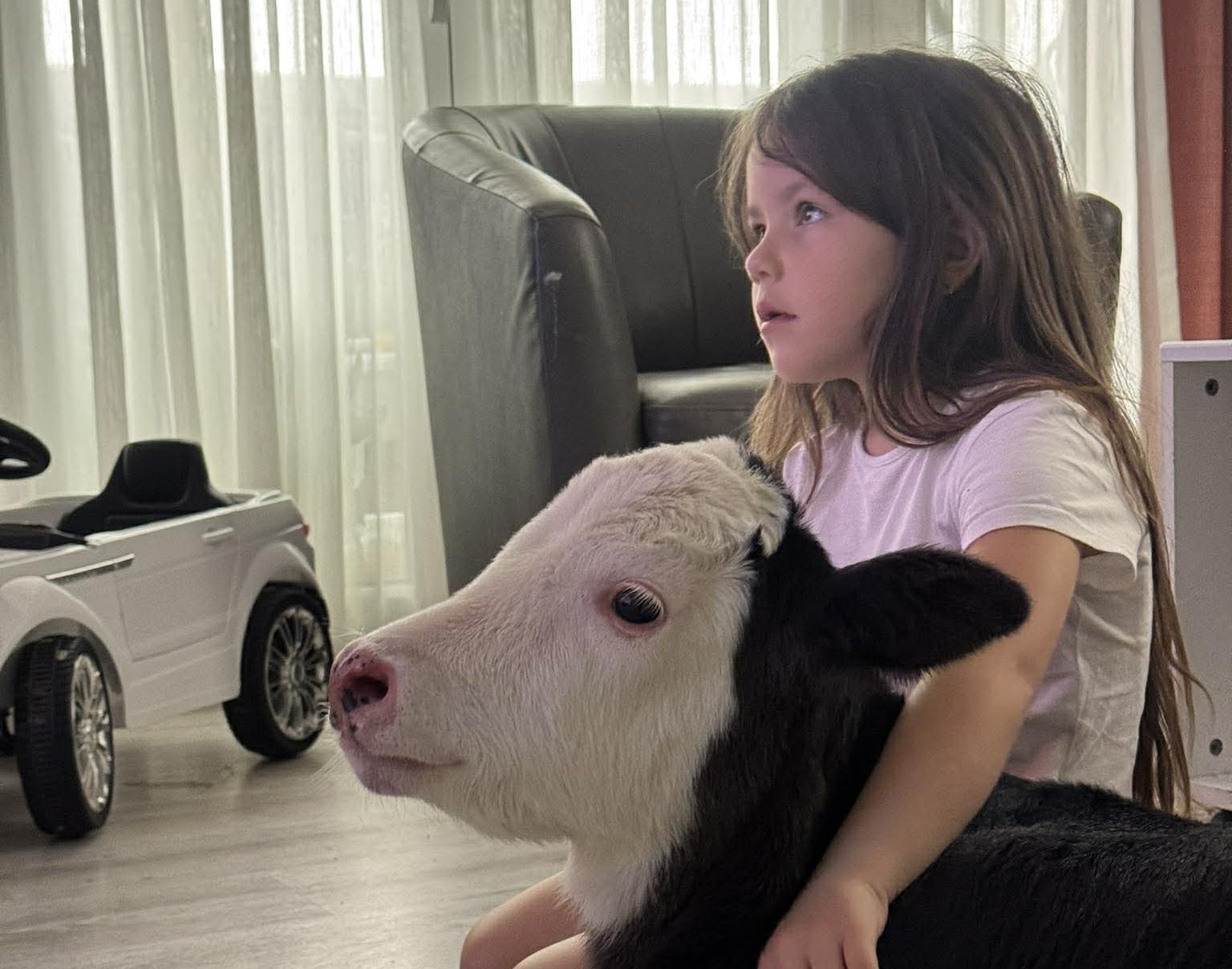 Nestvarno lepa slika iz doma Garovića / foto: Privatna arhiva
