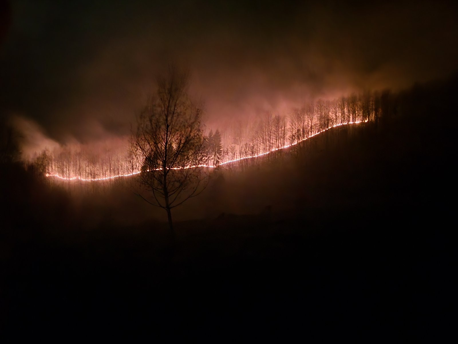 Šumski požari u Bijelom Polju / foto: Služba zaštite i spašavanja