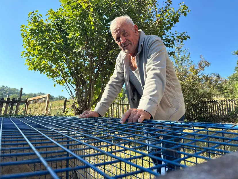 Pronašao ga u kukuruzu, bio je mrvica od nepunih kilogram: Radiša u dvorištu  sada odgaja preslatko lane, čim ojača pustiće ga u prirodu (FOTO)