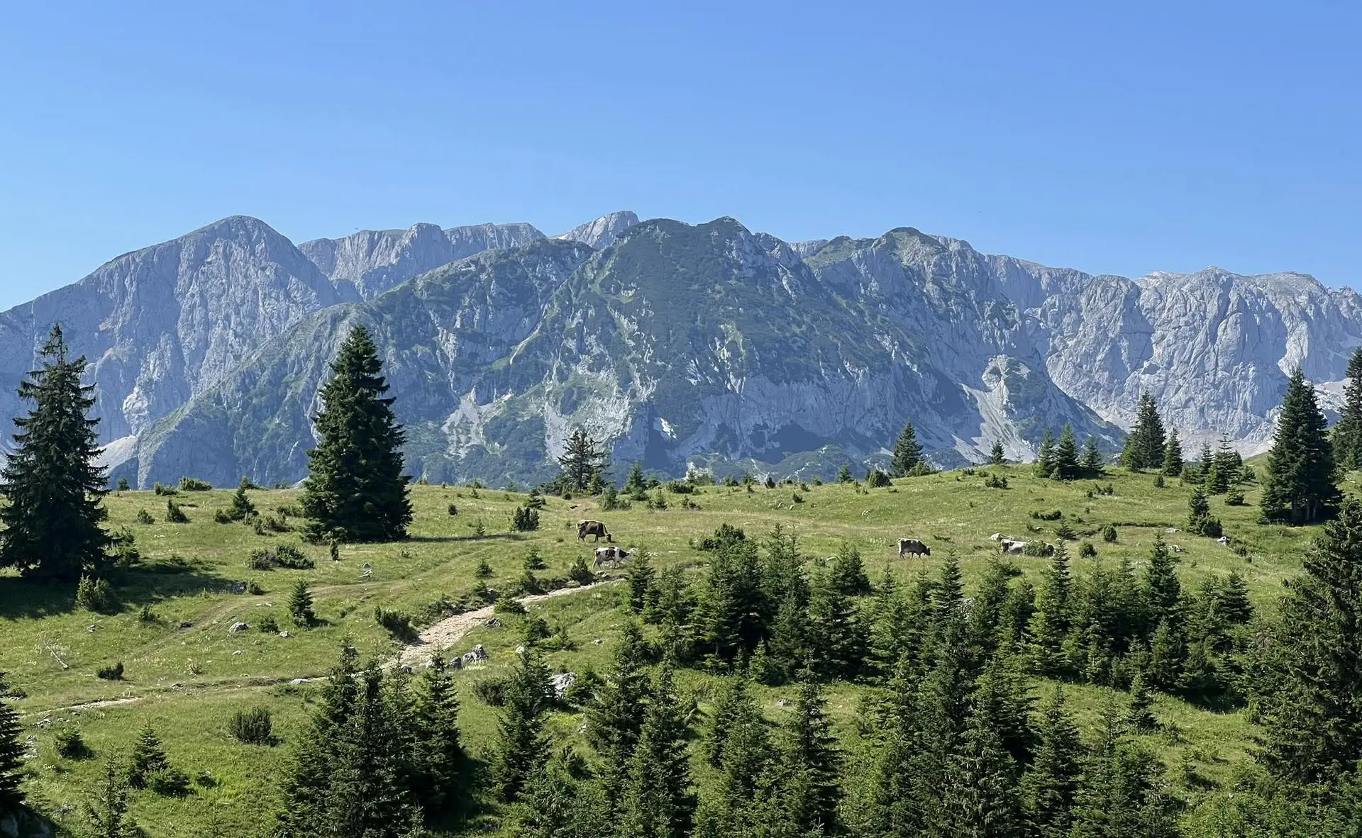 Akcija spasavanja na Durmitoru: Planinar iz Srbije povredio zglob kod vrha Prutaš, deset spasilaca mu pomoglo da stigne do vozila (FOTO)