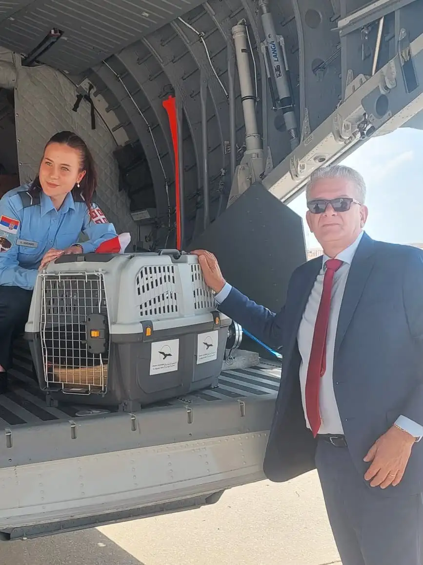 Preživeo otmicu i švercere, a sada vojnim avionom stigao u Srbiju: Feniks je srpski orao krstaš, a njegova priča iako je ptica je zaista - filmska (FOTO)