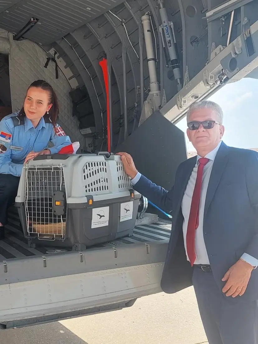 Preživeo otmicu i švercere, a sada vojnim avionom stigao u Srbiju: Feniks je srpski orao krstaš, a njegova priča iako je ptica je zaista - filmska (FOTO)