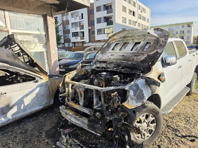 Haos na parkingu u Novom Sadu, izgorela tri automobila / foto: RINA