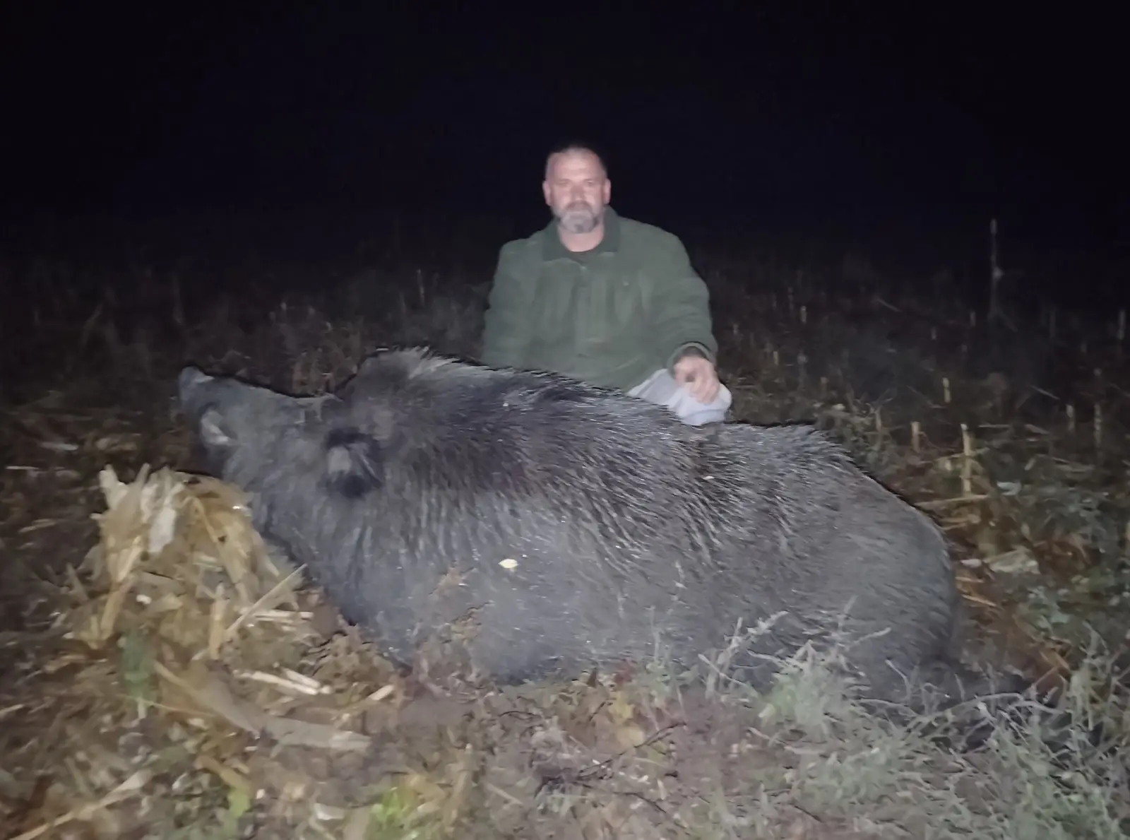 Grdosija od skoro 300 kilograma: Ulovljen jedan od najvećih veprova u Srbiji, lovac Dejan nanišanio ga sa 130 metara (FOTO)