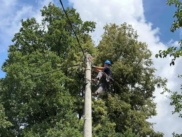 Foto: Opština Gornji Milanovac
