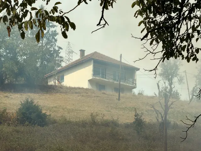Veliki požar kod Foče / foto: RINA