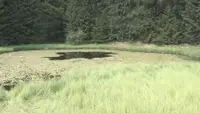 Ovo jezero nema obale, a legenda kaže da su u njega upali svatovi i utopili se: Skriveni biser Golije izgleda kao sa razglednice (FOTO)