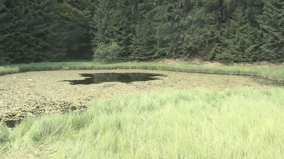 Ovo jezero nema obale, a legenda kaže da su u njega upali svatovi i utopili se: Skriveni biser Golije izgleda kao sa razglednice (FOTO)