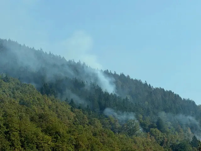 Požar iznad Foče još uvek aktivan / foto: RINA