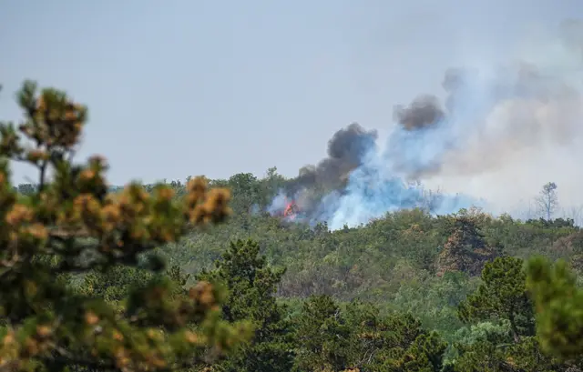Gašenje požara u Deliblatskoj peščari uz pomoć ruskog aviona Iljušin - Foto: Ministarstvo unutrašnjih poslova Srbije