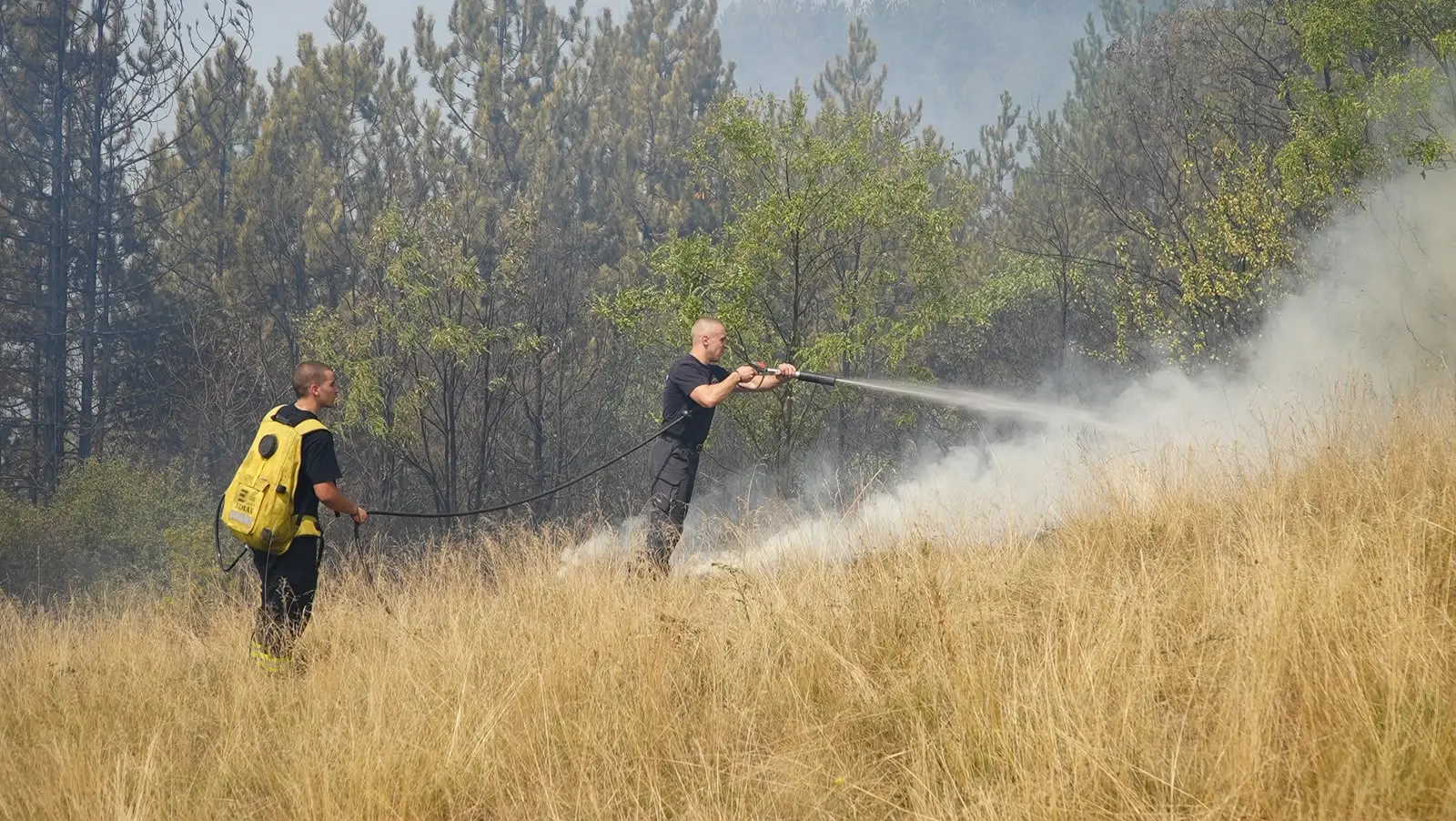 Kiša donela predah na planini Stolovi: Situacija znatno povoljnija, ali užareni panjevi i jak vetar još zadaju muke vatrogascima