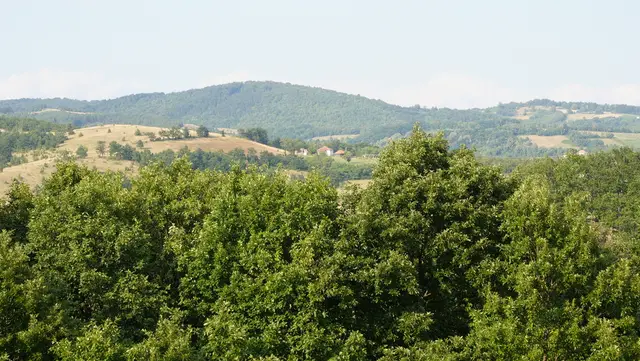 Koštunići – letnje vreme – Foto: Jovan Nikolić/RINA