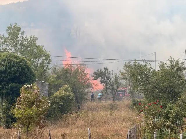 Veliki požar kod Foče / foto: RINA