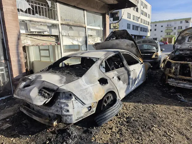 Haos na parkingu u Novom Sadu, izgorela tri automobila / foto: RINA