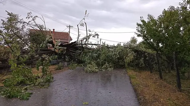 Nevreme napravilo haos u selu Gornja Gorevnica / foto: RINA