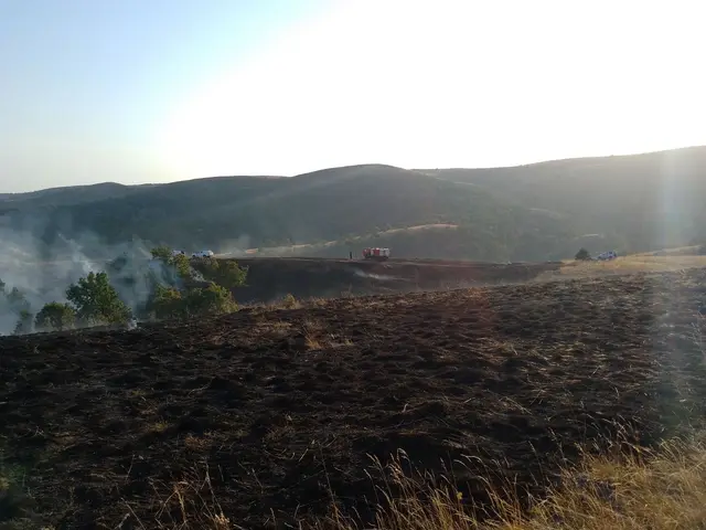 Lokalizovan požar na Ravnoj Gori: Foto: RINA