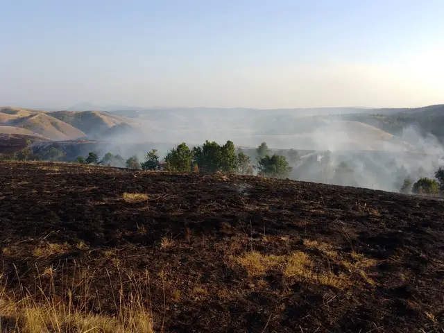 Lokalizovan požar na Ravnoj Gori: Foto: RINA