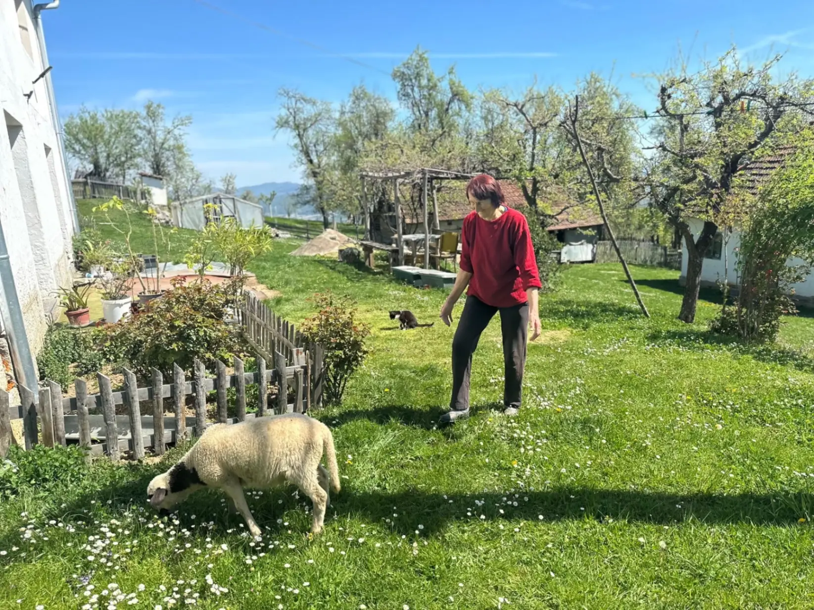 Prvo popijem kafu, pa idem u štalu: Baka Vera otkriva tajnu života na selu - ovo je njena poruka za mlađe žene (FOTO)