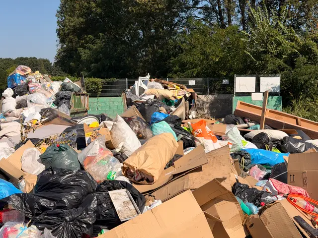 Deponija pored glavnog puta u selu Slatina, foto: RINA