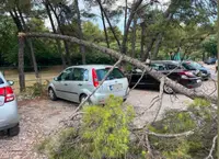 Vetar čupao drveće, jak grad tukao deset minuta: Nezapamćeno nevreme pogodilo Podgoricu nakon ogromne vrućine (FOTO)(VIDEO)