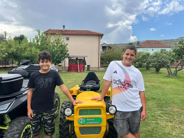 Đorđe i Dušan čitavo leto radili d abi kupili traktor / foto: RINA