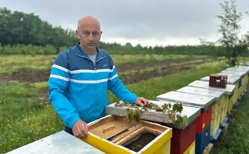 Do 30 kilograma meda po pčelinjem društvu: Sjajna sezona za pčelare, a od ministarstva stigao i poziv koji se ne odbija