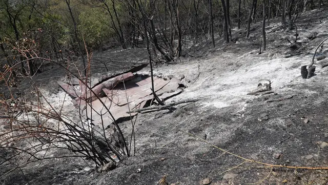 Ne jenjavaju požari u Ibarskoj dolini / foto: Jovan Nikolić, RINA