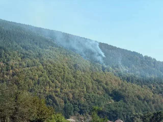 Požar iznad Foče još uvek aktivan / foto: RINA