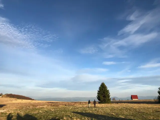 Planina Golija idealna za beg od vrućina / foto: RINA