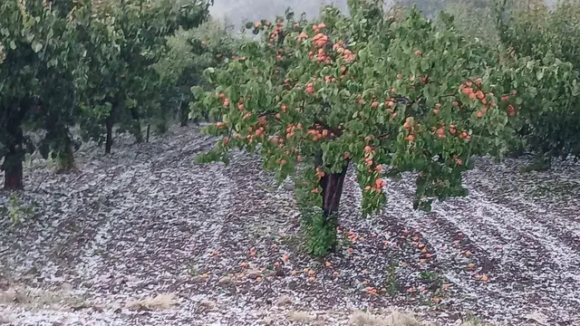 Snažan grad pogodio selo Prijevor kod Čačka/ Foto: RINA