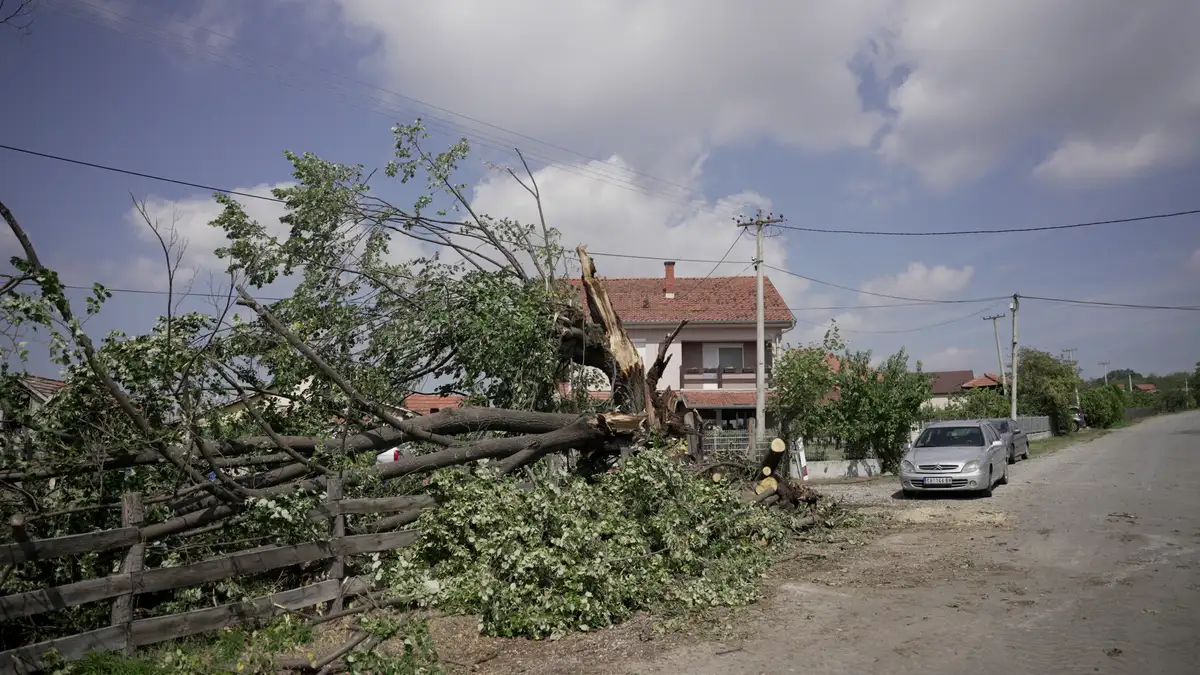 Grad omlatio voćnjake pred samu berbu: Počela prijava štete u Gornjem Milanovcu, komisije izlaze na teren