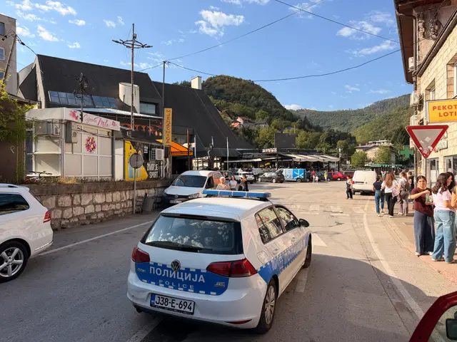 Policijska patrola u BIH/ Foto: RINA