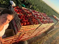Ona je vojvođanska kraljica paradajza: Sandra godišnje napravi preko 10.000 litara soka, u posao uključena cela porodica (FOTO)