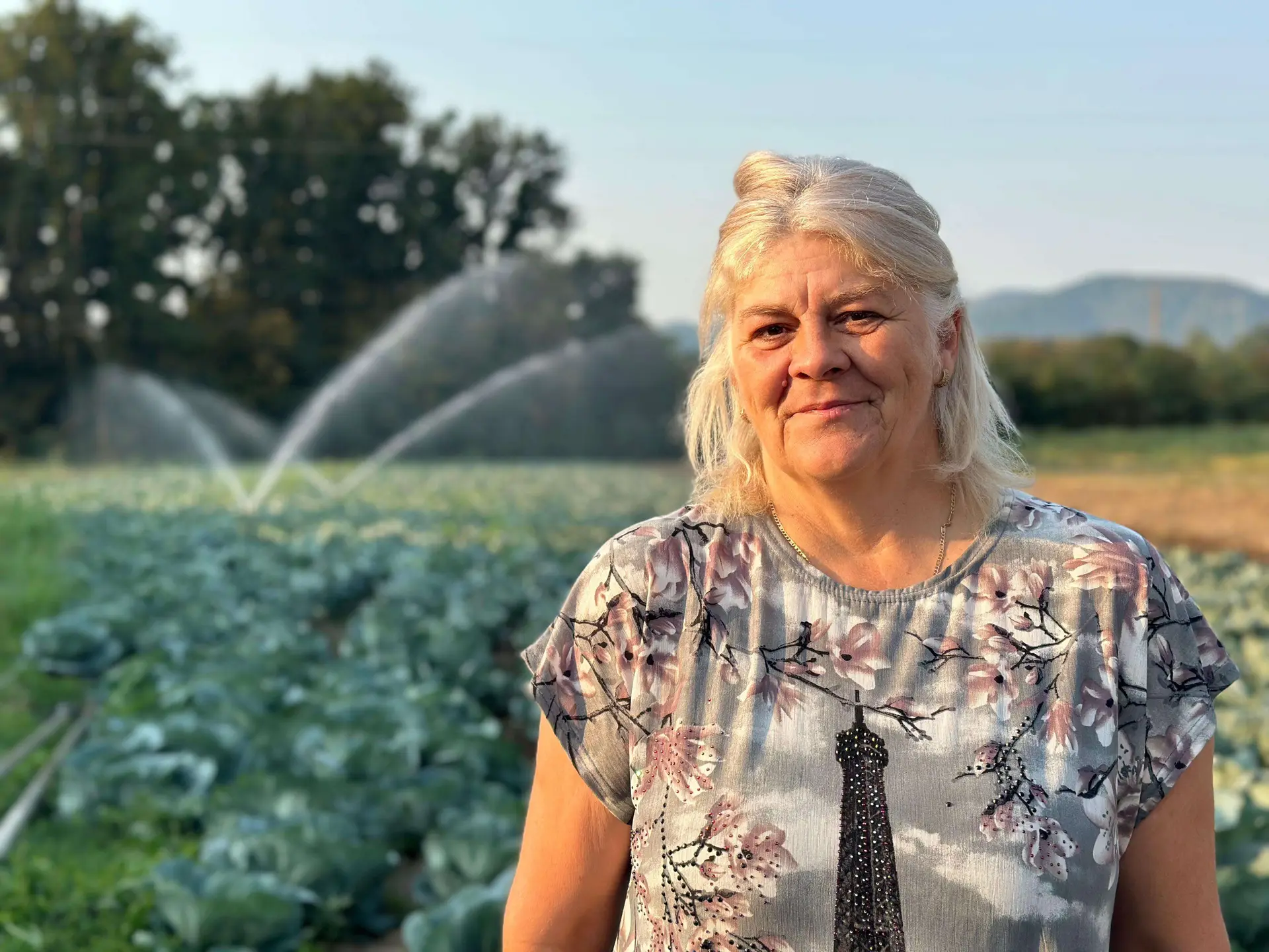 Nema pauze na rodnim njivama: Dana i njena porodica na preko tri hektara uzgajaju povrće, kupus će imati dobar rod (FOTO)