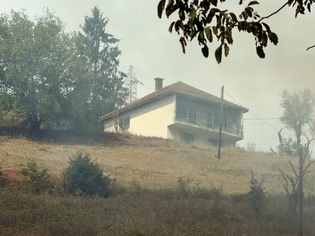 Veliki požar kod Foče / foto: RINA