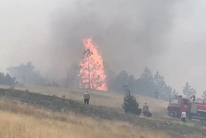 Grom udario u stablo, pa buknuo požar: Hitna situacija na Tari, vatrogasci uspeli da lokalizuju plamen