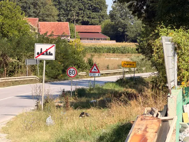Deponija pored glavnog puta u selu Slatina, foto: RINA