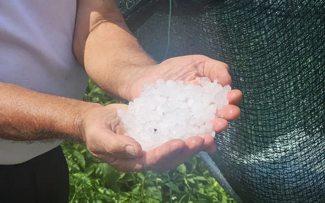 Jako nevreme i grad opustošili sela: Vanredna situacija proglašena u delu opštine Nova Varoš, ogromne štete na usevima i putevima (FOTO)