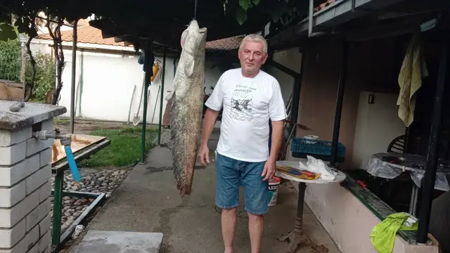 Dragan upecao soma kapitalca u Zapadnoj Moravi / foto: RINA