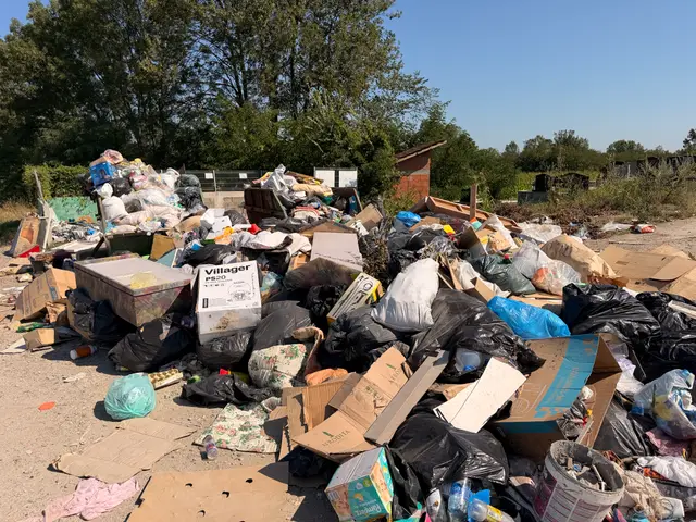 Deponija pored glavnog puta u selu Slatina, foto: RINA