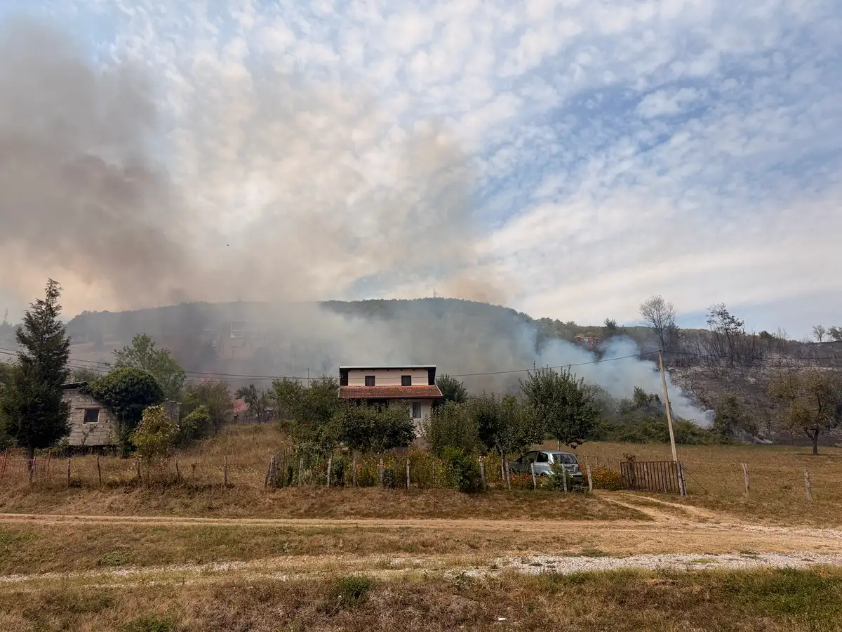 Drama na ulazu u Foču: Veliki požar u Handićima preti domaćinstvima, gust dim prekrio put - ovo su slike sa lica mesta (FOTO)(VIDEO)